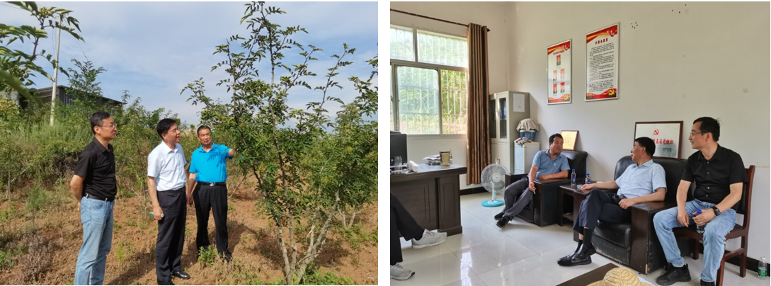 021659426821629558.png 021659426821629558.png