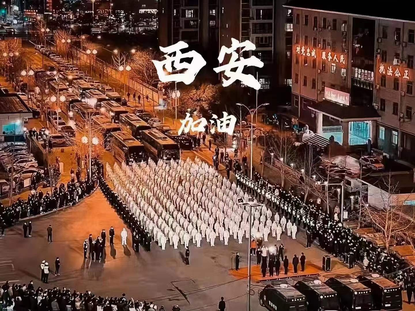 Զҽҩšͬս -Զҽҩſж