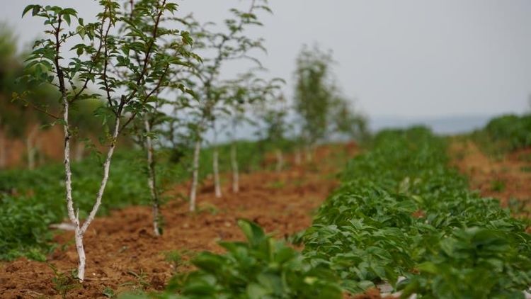 йίίһѲָŰ塰Ų 㡱