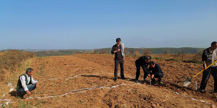 1556068818111830.jpg 1556068818111830.jpg