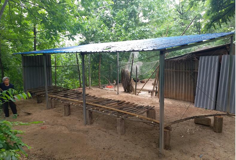 1562116895206939.jpg 1562116895206939.jpg