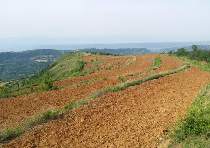 1562116925583123.jpg 1562116925583123.jpg